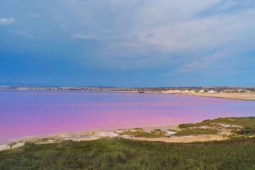 Resale - Piso - Torrevieja - Centro