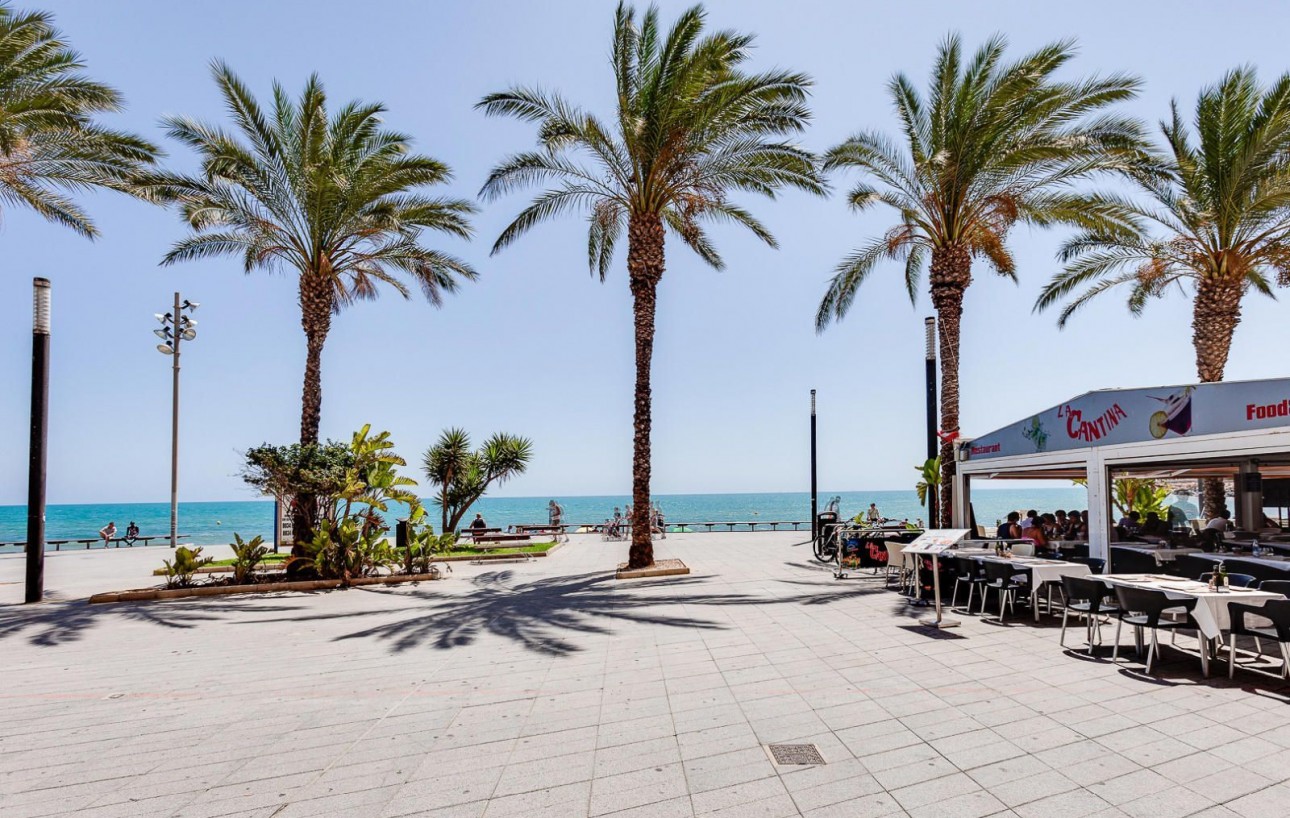 Resale - Lägenhet - Torrevieja - torrevieja