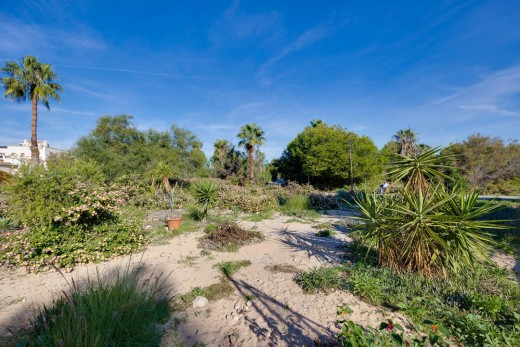 Resale - Bungalow Planta Alta - Orihuela Costa - Los Altos