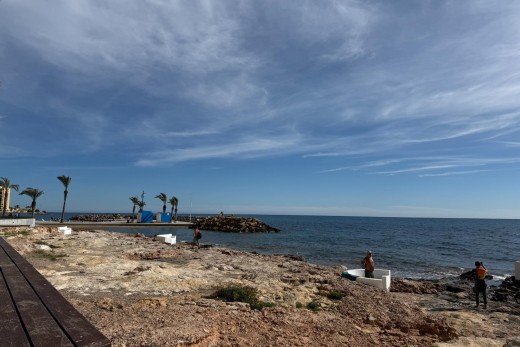 Obra Nueva - Apartamento - Torrevieja - Centro