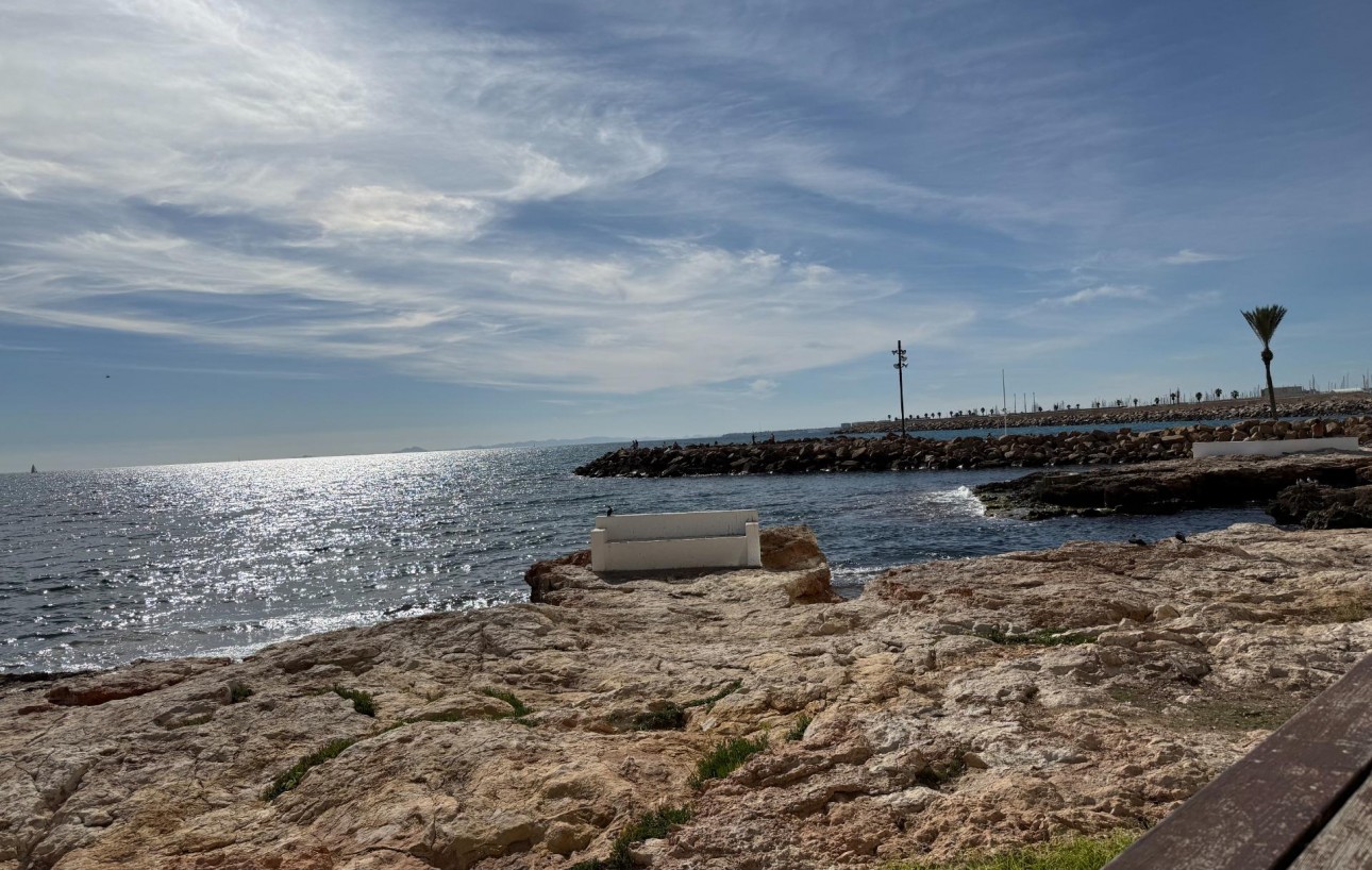 Obra Nueva - Apartamento - Torrevieja - Centro