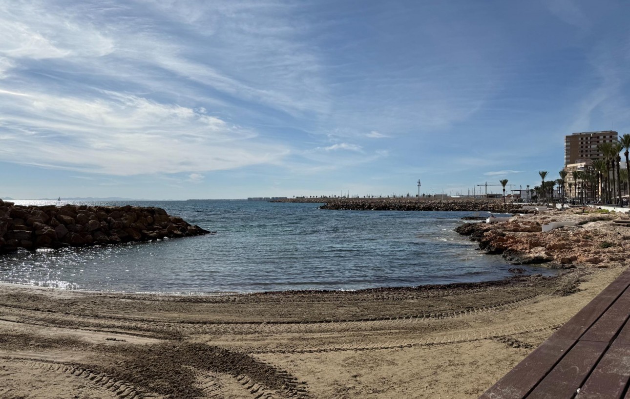 Obra Nueva - Apartamento - Torrevieja - Centro