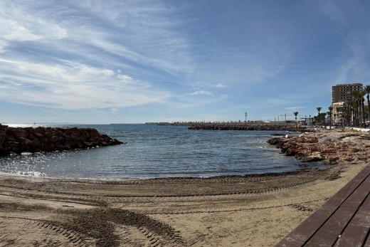 Obra Nueva - Apartamento - Torrevieja - Centro