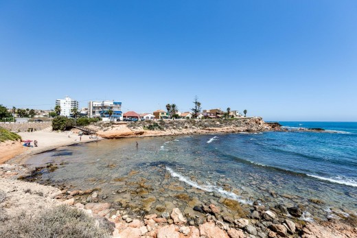 Resale - Lägenhet - Torrevieja - Rosaleda-los frutales