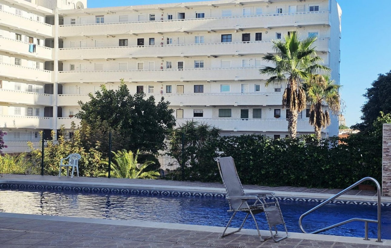 Sale - Study - Torrevieja - Torreblanca