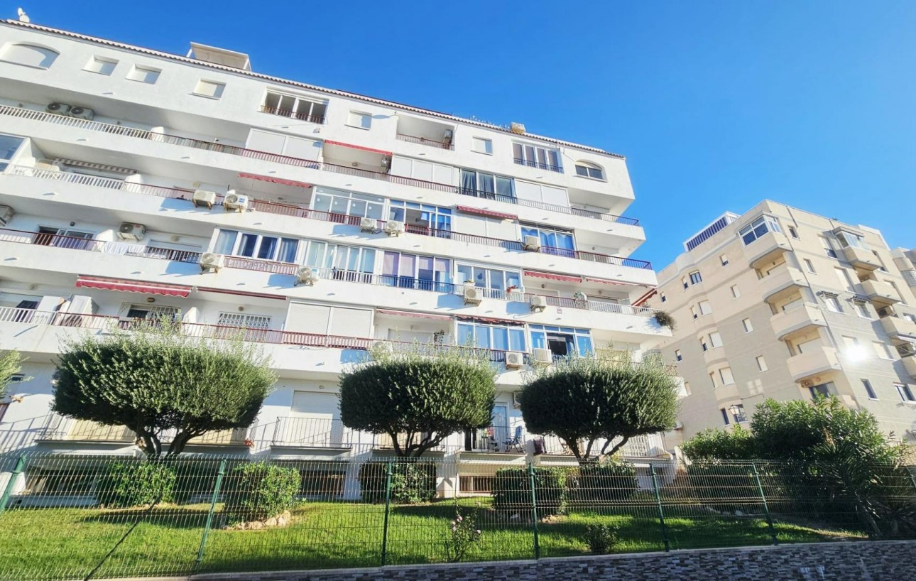 Sale - Study - Torrevieja - Torreblanca