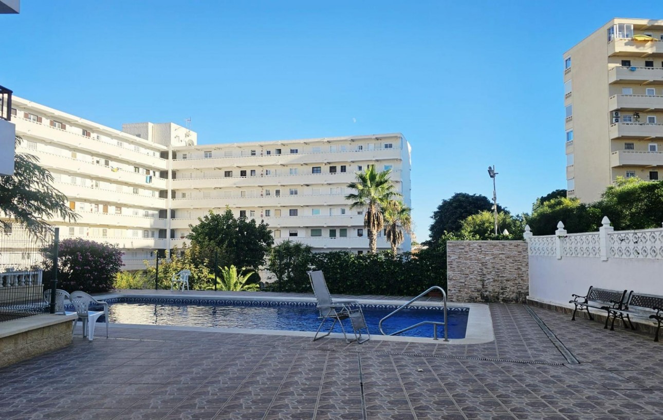 Sale - Study - Torrevieja - Torreblanca