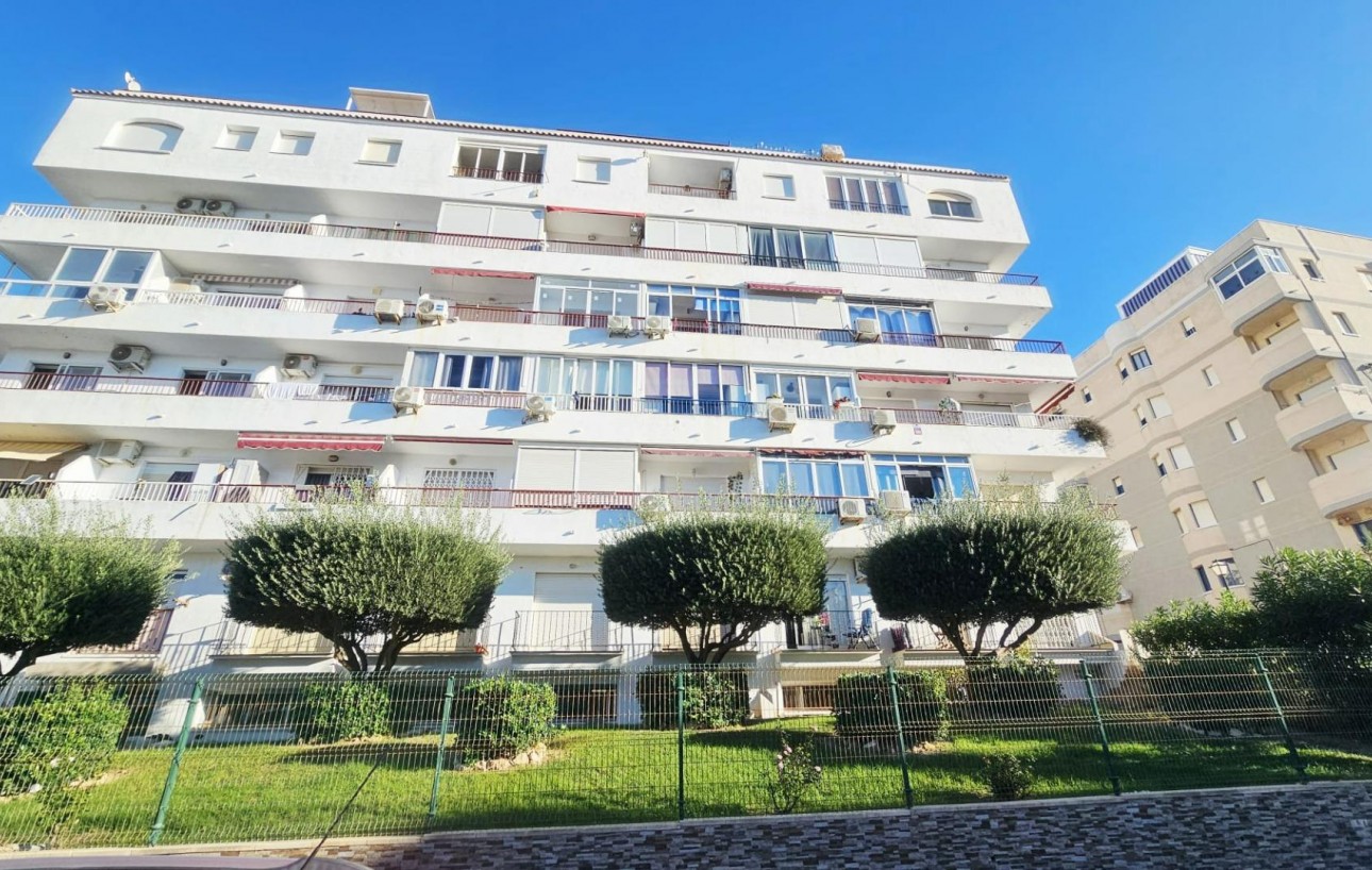 Sale - Study - Torrevieja - Torreblanca