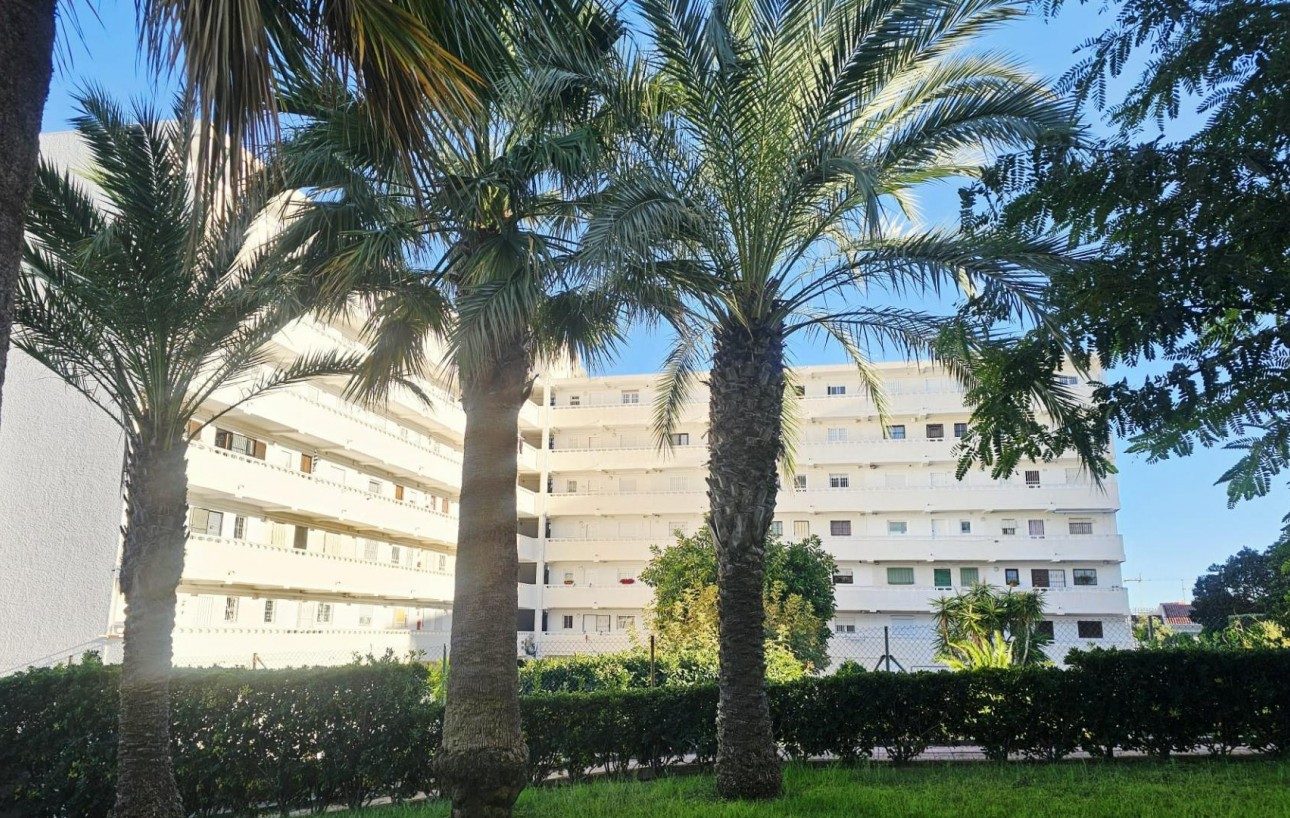 Sale - Study - Torrevieja - Torreblanca