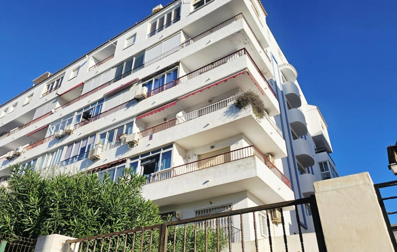 Sale - Study - Torrevieja - Torreblanca