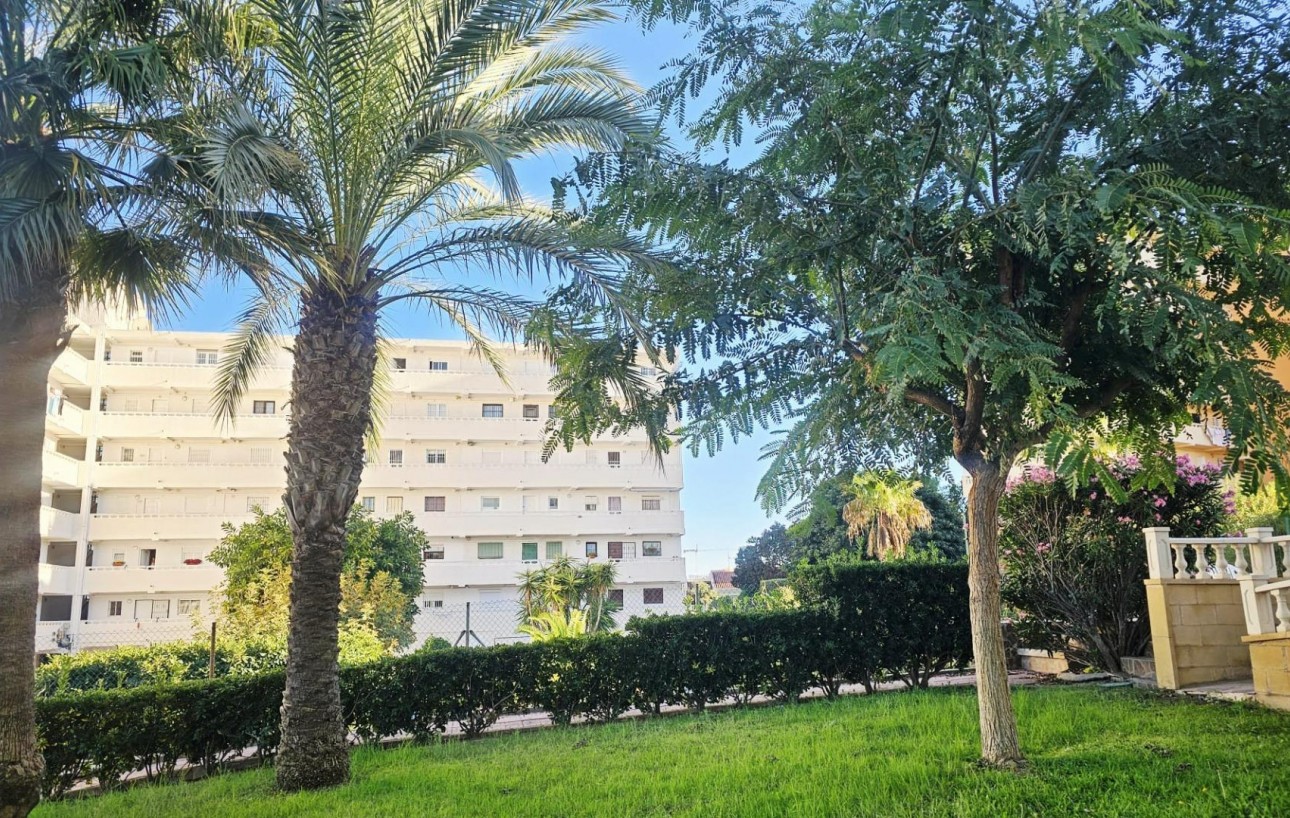 Sale - Study - Torrevieja - Torreblanca