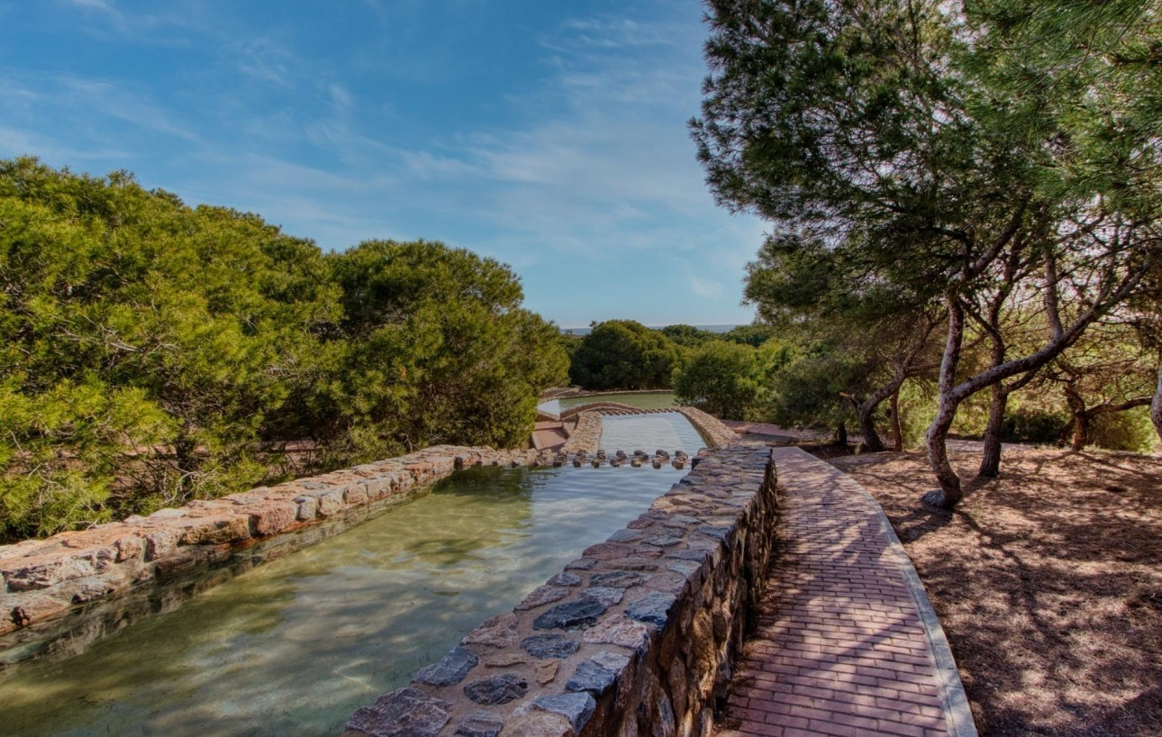 Sale - Apartment - Torrevieja - Playa de los locos