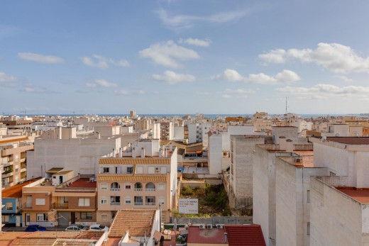 Sale - Study - Torrevieja - Centro