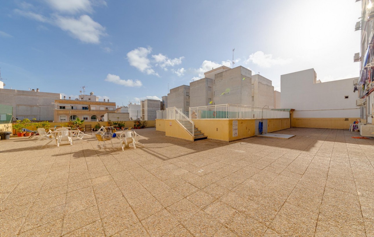 Sale - Study - Torrevieja - Centro