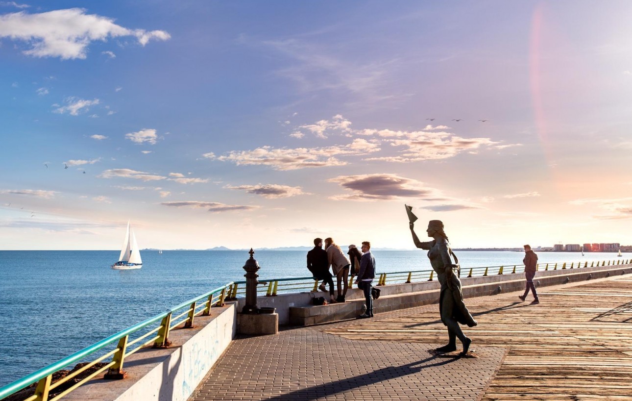 Sale - Study - Torrevieja - Centro