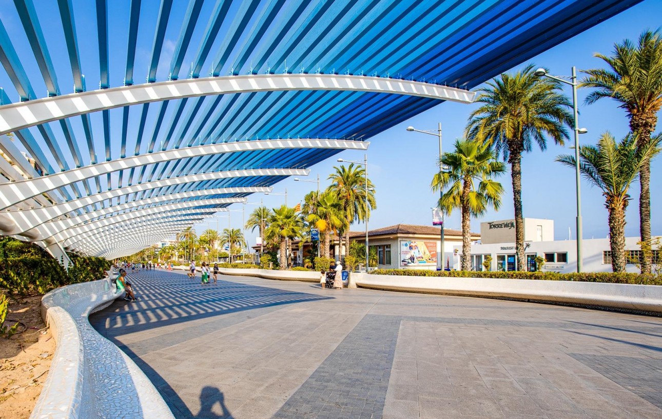 Sale - Study - Torrevieja - Centro