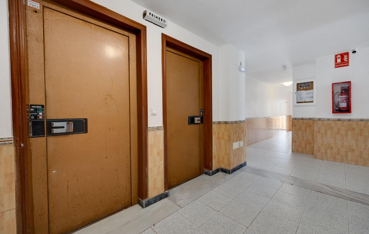 Sale - Study - Torrevieja - Centro