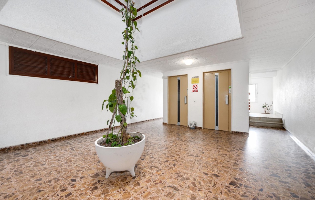 Resale - Wohnung - Torrevieja - Punta prima