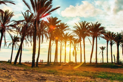 Resale - Wohnung - Torrevieja - Punta prima