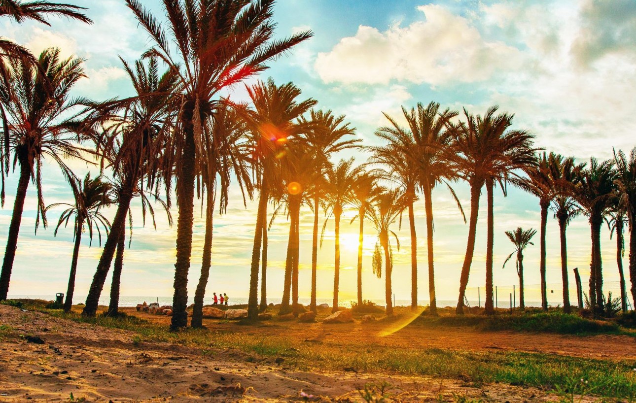 Resale - Lägenhet - Torrevieja - Acequion