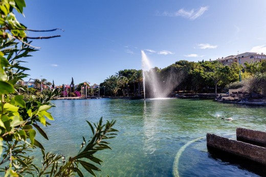 Venta - Ático - Torrevieja - Parque las naciones