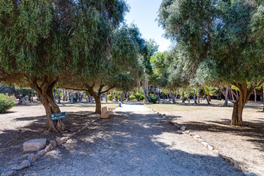 Resale - Lägenhet - Torrevieja - Acequion