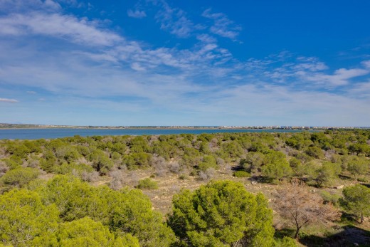 Resale - Wohnung - Torrevieja - La Siesta - El Salado - Torreta