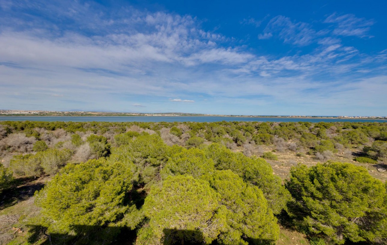 Resale - Wohnung - Torrevieja - La Siesta - El Salado - Torreta