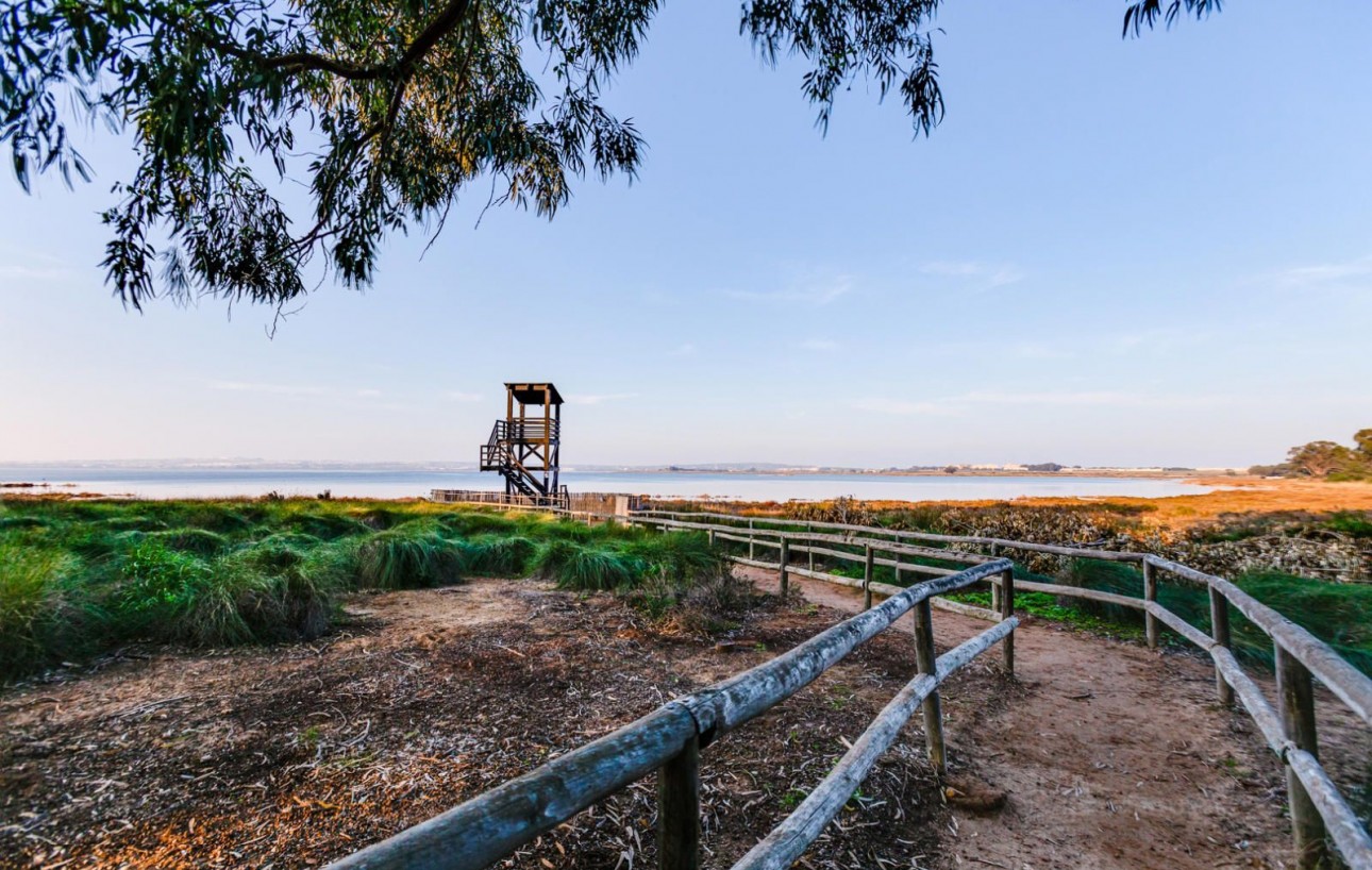 Resale - Wohnung - Torrevieja - La Siesta - El Salado - Torreta