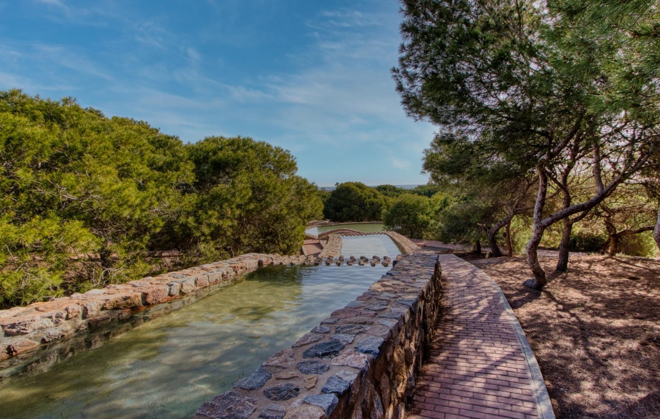 Resale - Lägenhet - Torrevieja - Playa de los locos