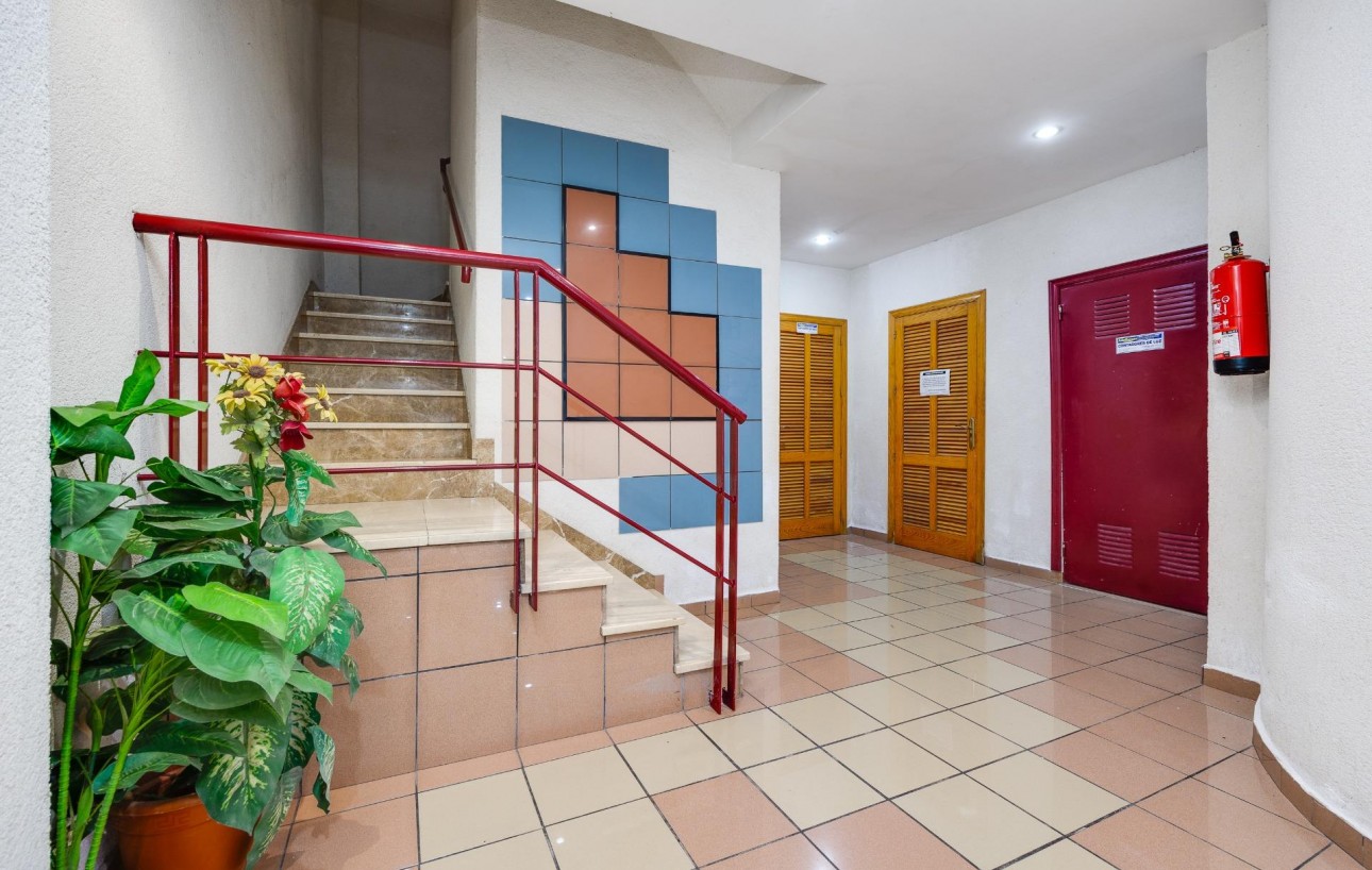 Revente - Étude - Torrevieja - Habaneras