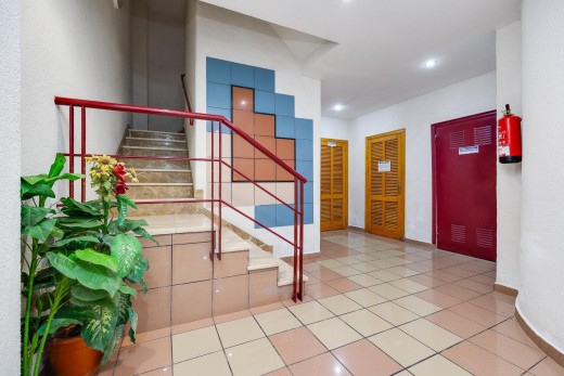 Revente - Étude - Torrevieja - Habaneras