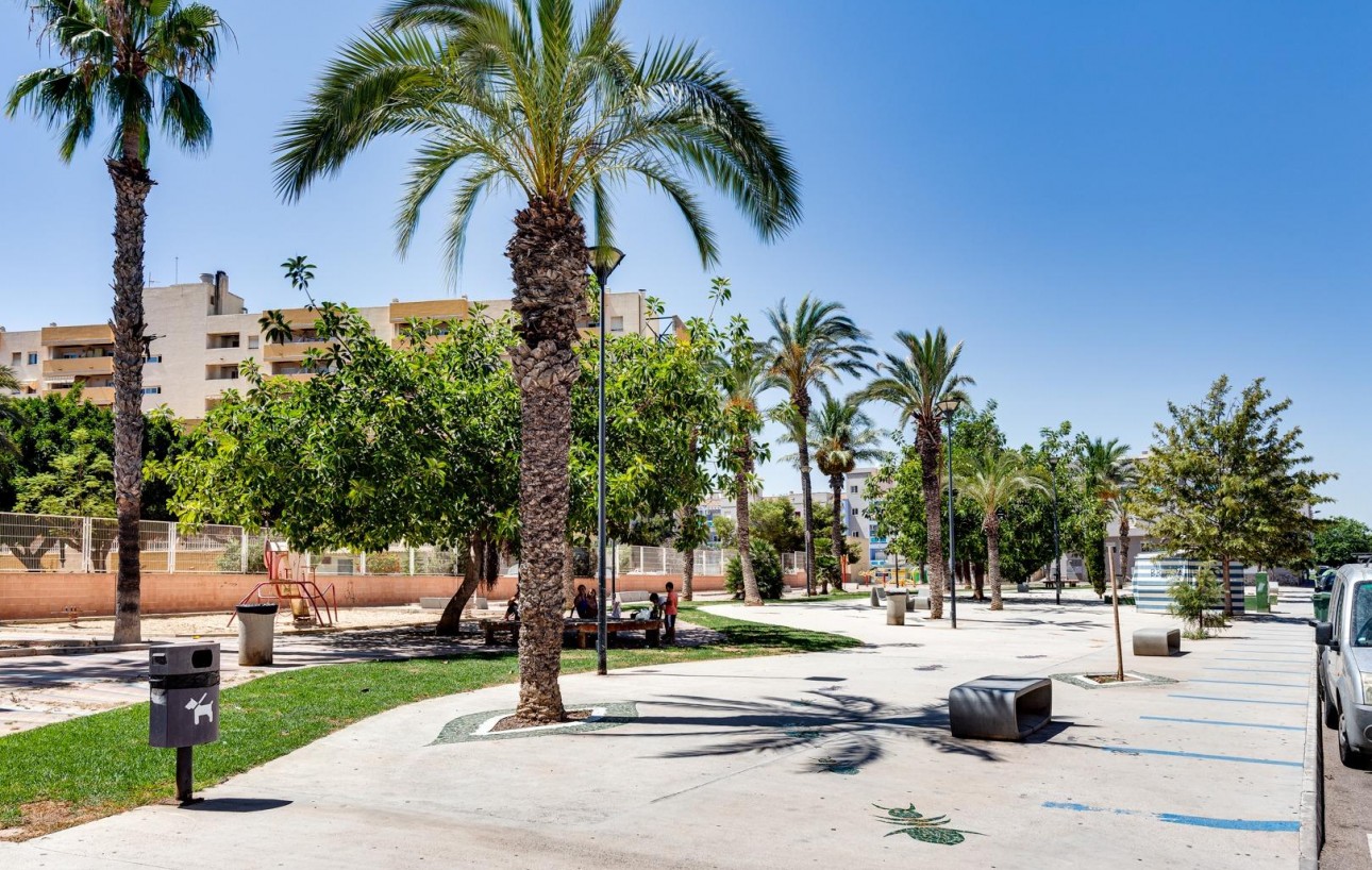 Revente - Étude - Torrevieja - Habaneras