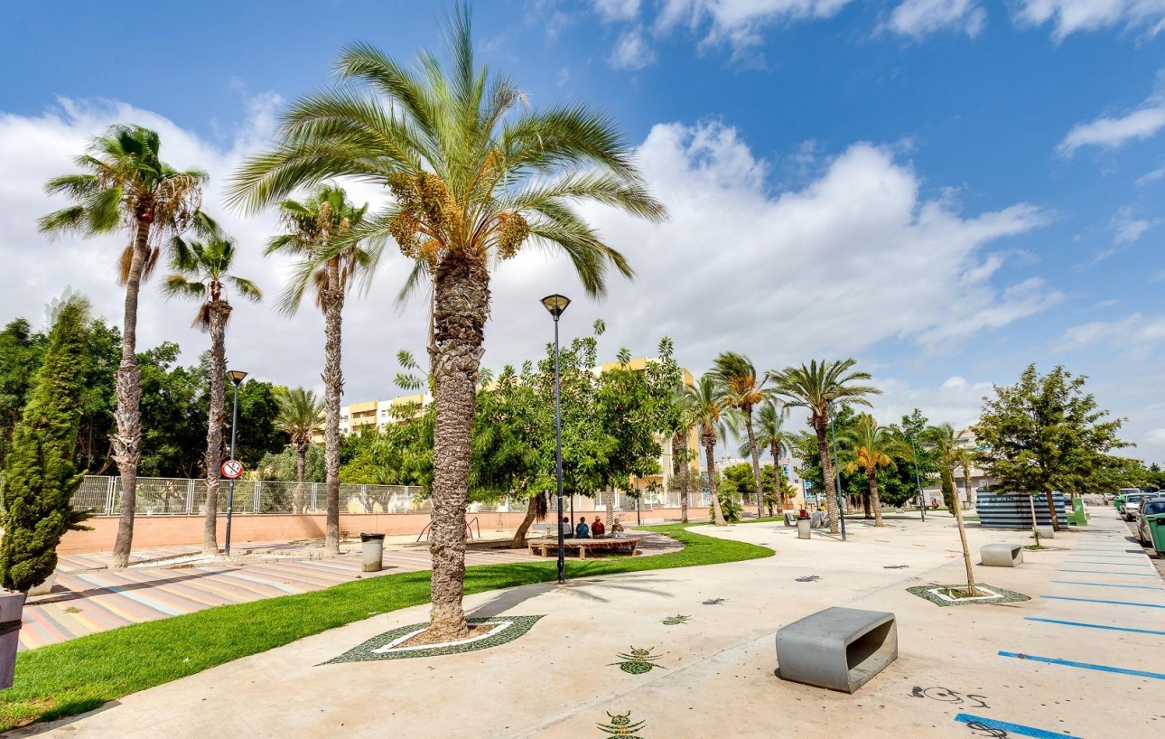 Revente - Étude - Torrevieja - Habaneras