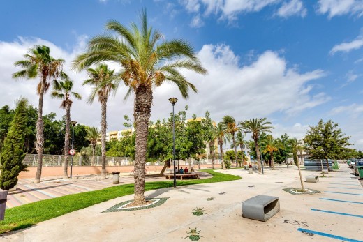 Revente - Étude - Torrevieja - Habaneras