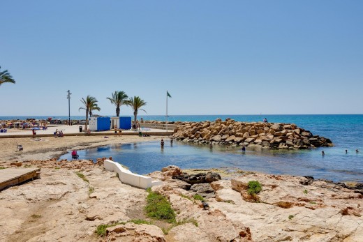 Revente - Étude - Torrevieja - Habaneras