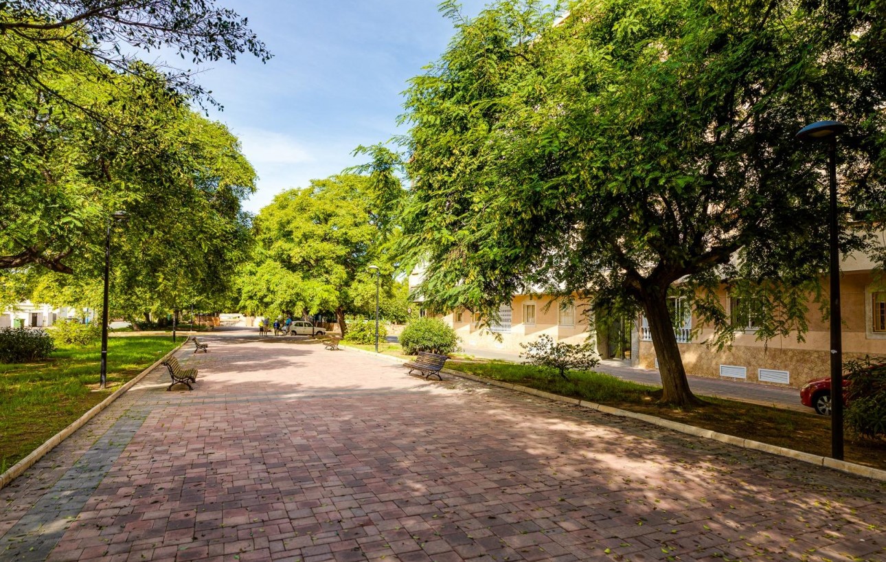 Sale - Study - Torrevieja - Acequion