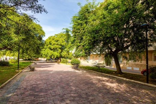 Sale - Study - Torrevieja - Acequion