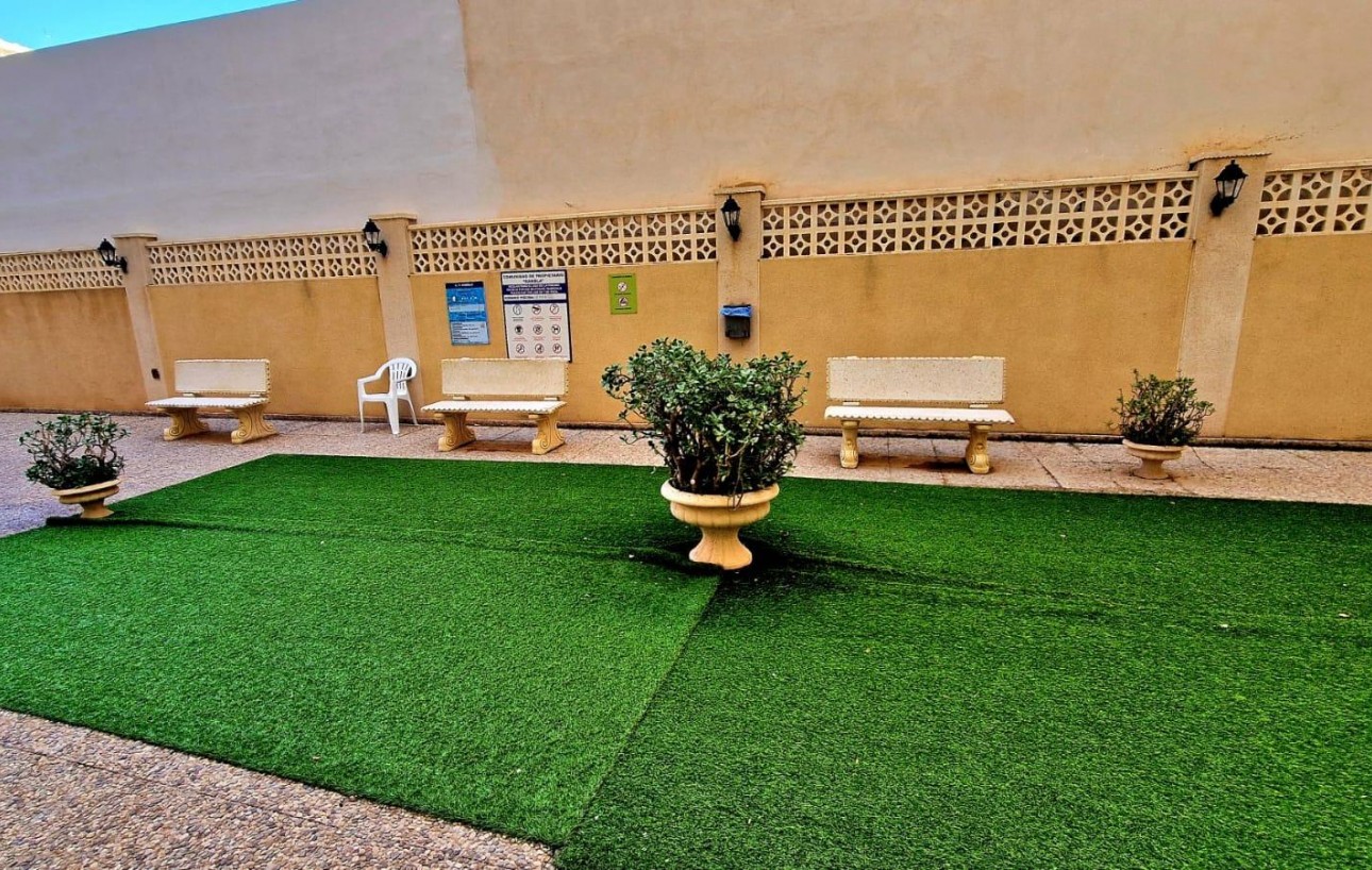 Venta - Piso - Torrevieja - Centro