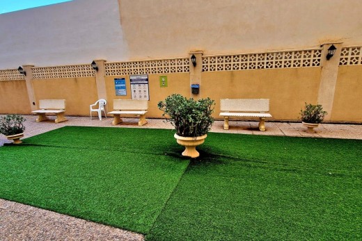 Venta - Piso - Torrevieja - Centro