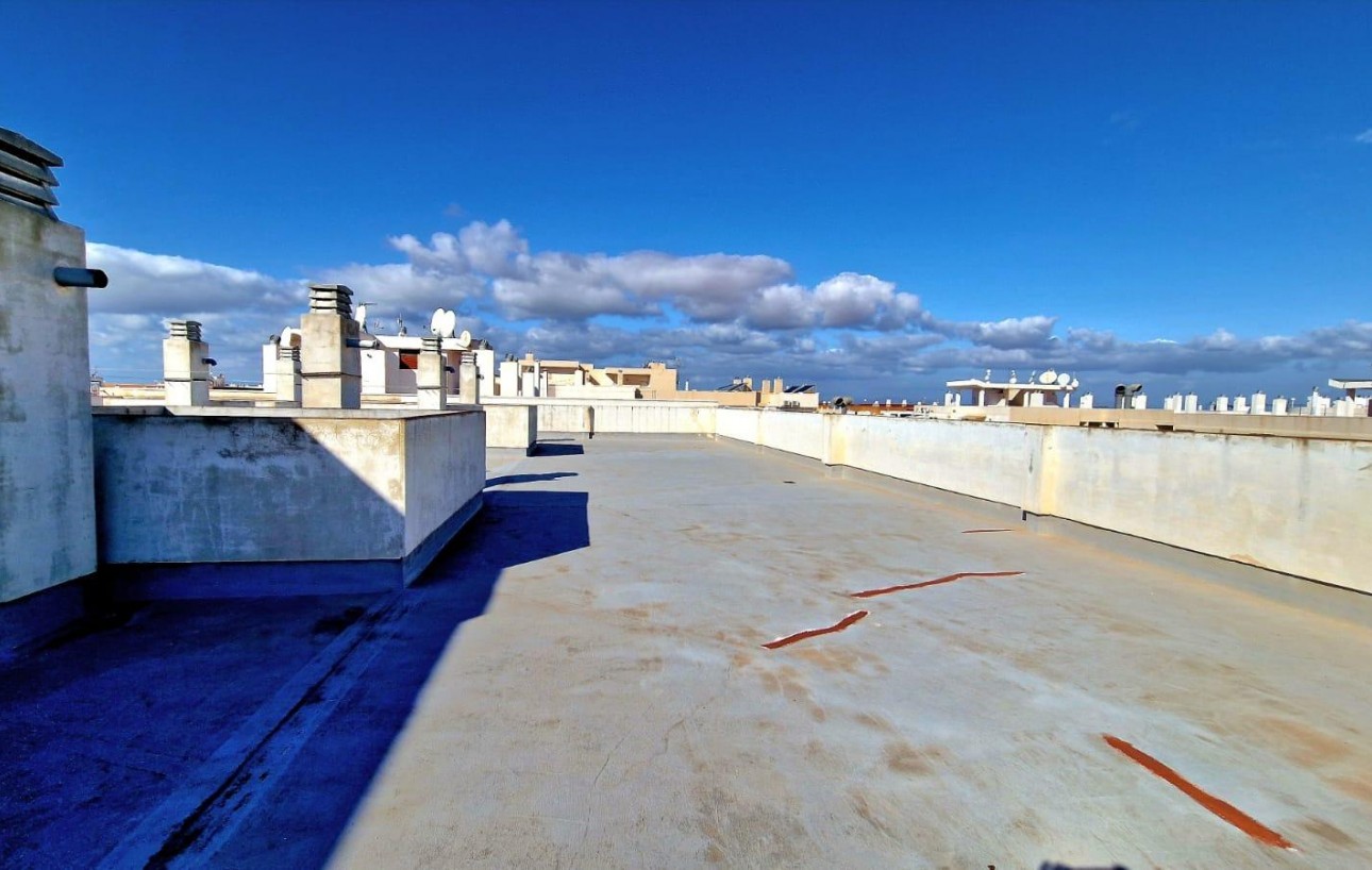 Venta - Piso - Torrevieja - Centro