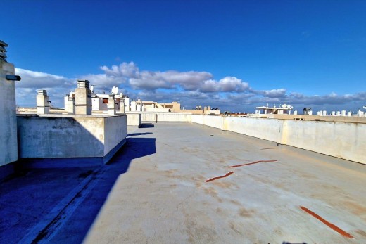 Venta - Piso - Torrevieja - Centro