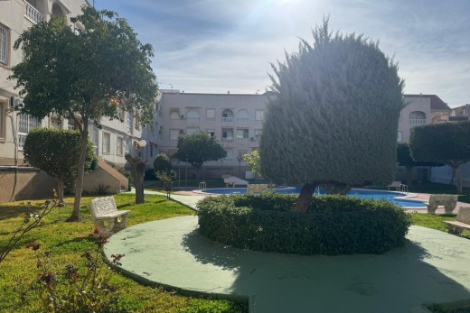 Venta - Apartamento - Torrevieja - Acequion