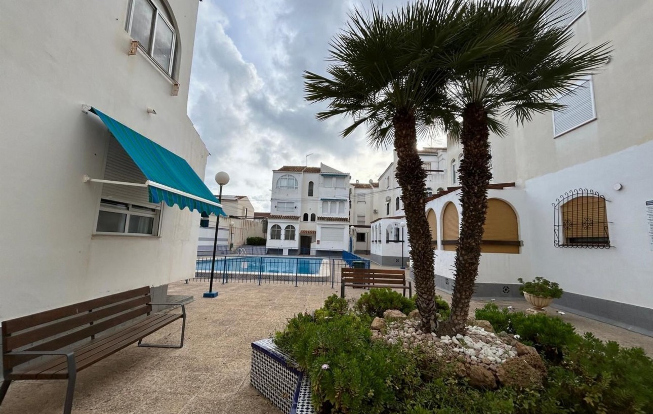 Venta - Estudio - Torrevieja - Playa de los Naufragos