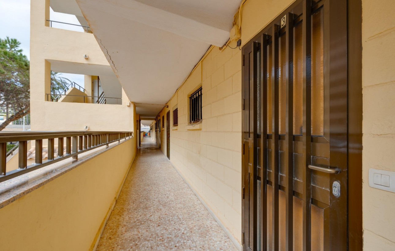 Revente - Appartement - Torrevieja - Cabo cervera