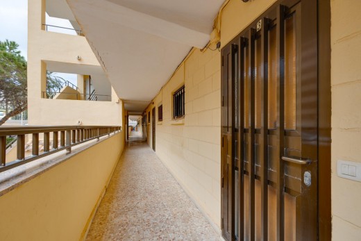 Revente - Appartement - Torrevieja - Cabo cervera