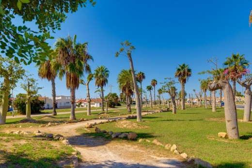 Venta - Chalet - Torrevieja - El limonar