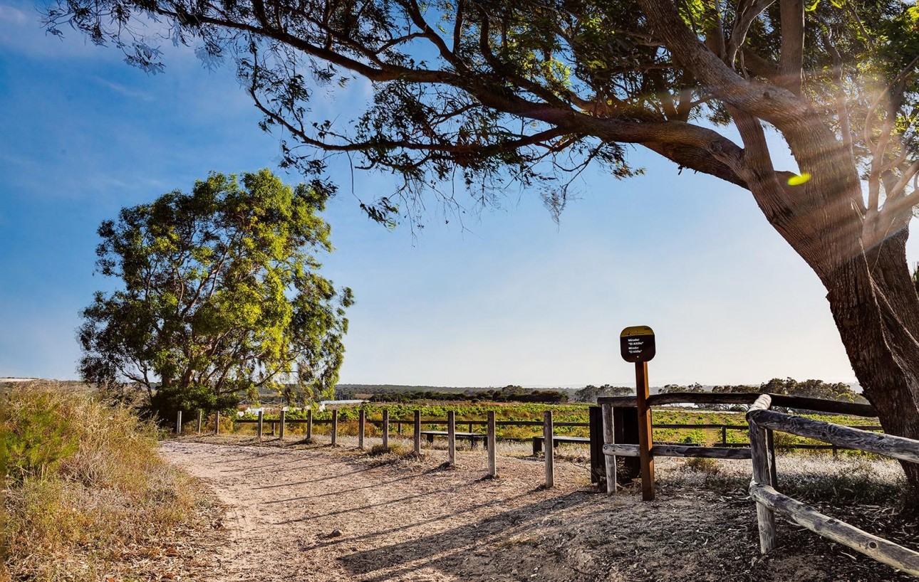 Venta - Chalet - Torrevieja - El limonar