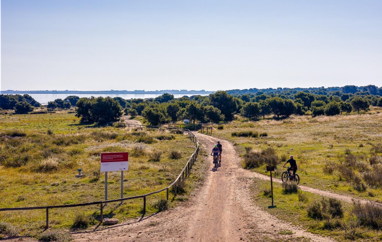 Venta - Chalet - Torrevieja - El limonar