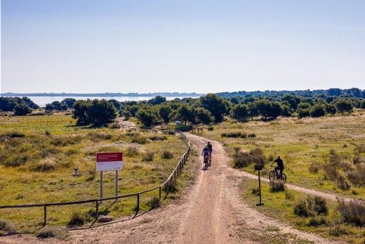 Venta - Chalet - Torrevieja - El limonar